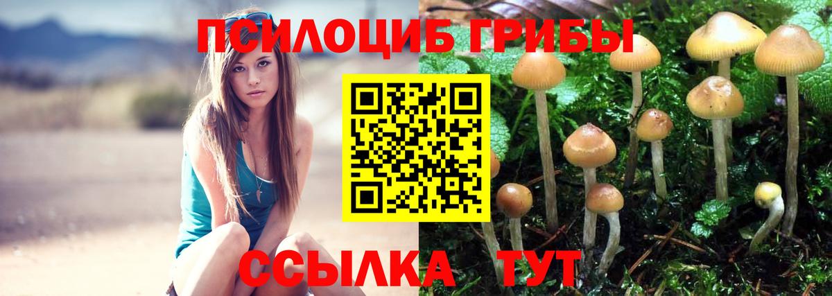 Краснодар  Галлюциногенные грибы Magic Shrooms  Вход с VPN  Псилоцибиновые грибы Magic Shrooms 